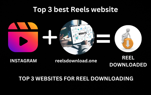 The Ultimate Guide to Downloading Instagram Reels: Top 3 Websites for reel downloading